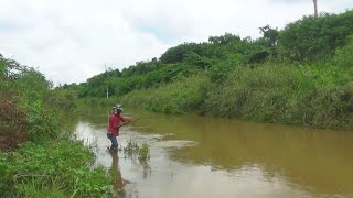 โดนทุกไม้ จนหลอนต้องขอยอม ตีเหยื่อปลอม ทำอาหาร แมว ตกปลากระสูบ [ งัดวัง Fishing For Catfish ]