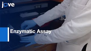 Enzymatic Assay To Measure Transcription Inhibition By Gallium(III) l Protocol Preview