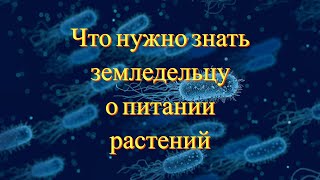 Часть 1/Чем именно питаются растения