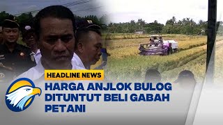 [HEADLINE NEWS, 22/01] Mentan Minta Bulog Serap Hasil Panen Petani