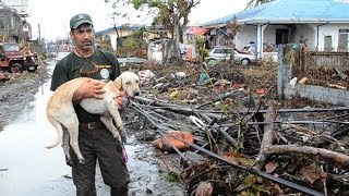 HSI: Heartwarming Rescue Stories from the Philippines