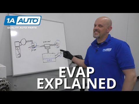 Where is the EVAP system located?