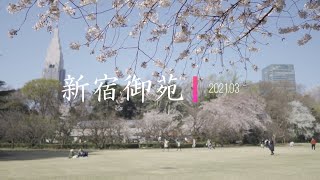 【vlog】新宿御苑／Shinjuku Gyoen／桜／sakura／Tokyo／SONY／A7C／SEL24F14GM／SEL24105G