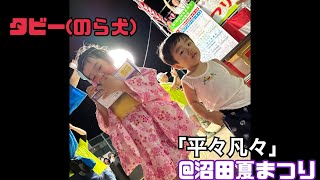 タビー(のら犬)「平々凡々」ライブ@沼田夏まつり！