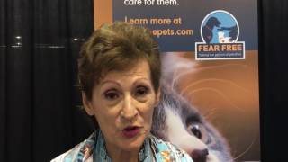From our Pros: "Fear Free is the Way"