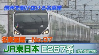 信州を駆け抜ける名車達　No.37     　JR東日本 E257系② 松本-塩嶺TN間