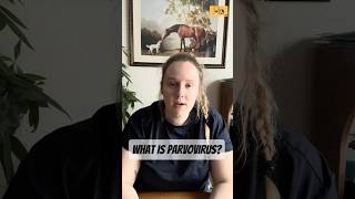 Parvovirus in dogs #veterinarymedicine #vettok #vetnurse #veterinarian #veteducation #dogs #shorts