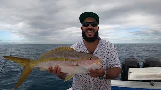 TROPHY Yellowtail Snapper - BIGGEST I've ever seen - ABSOLUTE GIANT - Should I (CATCH CLEAN COOK) ??