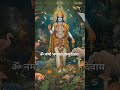 shreeman narayan narayan hari hari 🙏🙏 vishnu narayan bhajan youtubeshorts