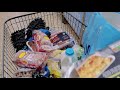 留学vlog｜爱尔兰逛超市｜每周伙食费花多少｜值得买