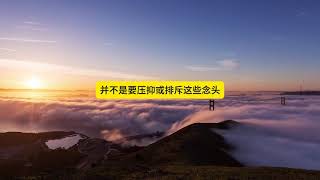 终南山老法师：动念即动业破妄止观无念的奥义！