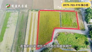 嘉義水上農地｜2280萬｜1749.9地坪｜☎️ 0979-703-970陳俊夏 小姐｜天天看房｜房地產｜不動產｜土地買賣｜建地｜農舍｜農地｜農建地｜廠房｜嘉義房地產｜空拍｜水上產業園區旁農地｜