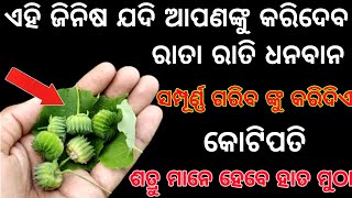 ଏହି ଜିନିଷ ଗରିବ ଙ୍କୁ କରିଦେବ କୋଟିପତି | dhan prapti ke upay | dhan vrudhi ke upay | dhan labh ke upay