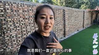 诺米vs球球姐妹俩终于团聚，一见面就兴奋十足，不愧是杀人犬后代