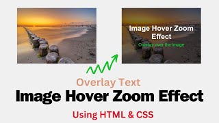 Image Hover Text Overlay Effect With HTML and CSS | Image Hover Effect In CSS
