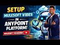 Setup MuleSoft Vibes In Anypoint Platform | Sravan Lingam| #mulesoft