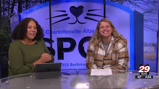 Community Conversation: Marissa Marston with CASPCA (02-17-25)