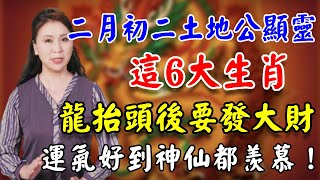 龍擡頭土地公顯靈了！阿南德不可置信：這6大生肖要發財了！未來3代人不愁！#生肖 #運勢 #財運 #属相 #風水