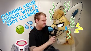 Deepclaning fursuit heads - Bissell SpotClean