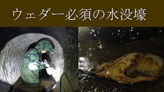 タモ網を持って水没した地下壕に突撃