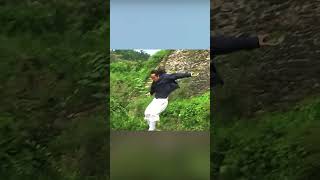 Wudang Lightness Skill #wudang #taichi #health#taichi #health #wudang #Qigong # Chinese Kung Fu