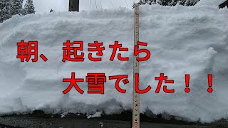 朝、起きたら大雪でした！！