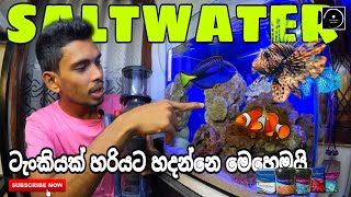 මුල සිට නිවැරදිව SALTWATER Tank එකක් හදමු | SALTWATER TANK Beginner Guid | The Fishyflex