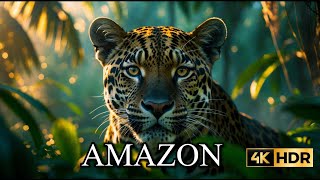 Amazon Paradise/Nature \u0026 Animal Slideshow with Amazing Music/4K