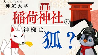 【神道大學】稲荷神社の神様ってキツネ？現役神主が解説！