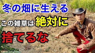 【固い土でお困りの方】今しかできない冬の土づくり教えます　　　　【カーメン君】【園芸】【ガーデニング】【初心者】