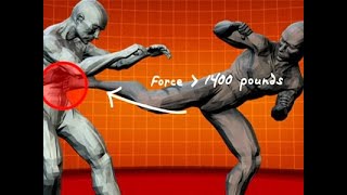 Old TV Show Human Weapon all clips techniques