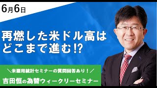 再燃した米ドル高はどこまで進む⁉（雇用統計セミナー質問回答あり！）【為替ウィークリーセミナー】