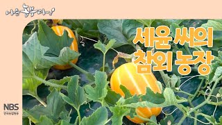 [나는농부다 240회] 세윤 씨의 참외 농장