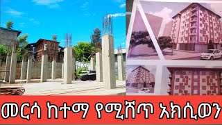 መርሳ ከተማ የሚሸጥ አክሲወን በርካሽ ዋጋ