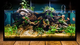 Perfecting the Low Tech Fish Tank in DIY IKEA Aquarium