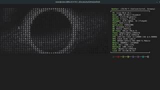 I recreated Pewdiepie's Animated Neofetch Effect From His Linux Video