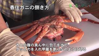 第３回香住ガニまつり（兵庫県・香美町）