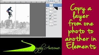 Photoshop Elements Quick Tip - Quickly copy a layer to another photo method 1