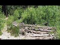 Bear River flows June 17, 2024 , 130 cfs 5