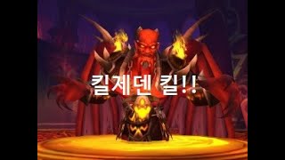 [힐잘누] 킬제덴 킬! 태양샘 신사 시점 (Raid Team AGAIN) 2022.05.18