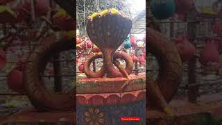 Famous Temple || Nagendra Swamy temple latest videos ||shorts || PVR TV