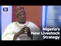 How Nigeria Plans To End Farmer-Herder Conflicts - Minister | Hard Copy