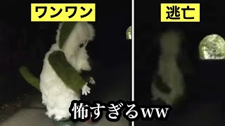 【放送事故】わんわんトンネル事件について解説