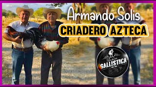 CRIADERO AZTECA- ARMANDO SOLIS