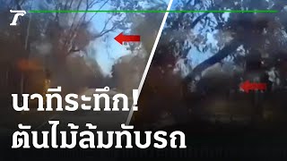 เฉียดตายเพราะเผาป่า ต้นไม้โค่นทับรถ | 21-02-66 | ข่าวเที่ยงไทยรัฐ