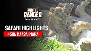Safari Highlights #519: 10 & 11 March 2019 | Maasai Mara/Zebra Plains | Latest #Wildlife Sightings