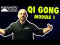 Learn Qi Gong and Tai Chi Online - Core Curriculum Module 1