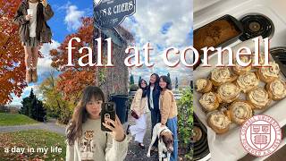 fall day in my life @ cornell 🍁🧸 | hiking, baking, friends