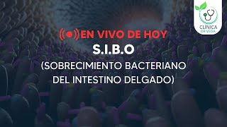 S.I.B.O (Sobrecrecimiento Bacteriano del Intestino Delgado) - Clínica Dr. Vega