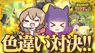 【ポケモンSV】色違い厳選対決！VSサクラもちさん！！【ゆっくり実況】